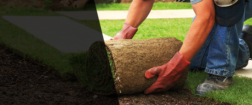 Great Mills Landscapers